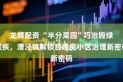 龙辉配资 “半分菜园”巧治毁绿顽疾，漕泾镇解锁自建房小区治理新密码
